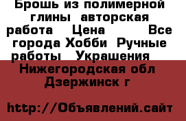 Брошь из полимерной глины, авторская работа. › Цена ­ 900 - Все города Хобби. Ручные работы » Украшения   . Нижегородская обл.,Дзержинск г.